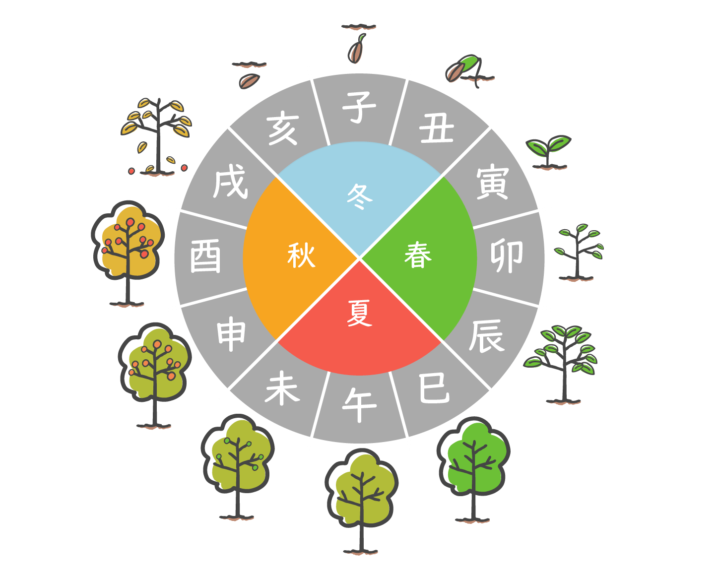 十二支と植物の成長過程